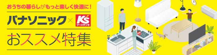 Panasonic