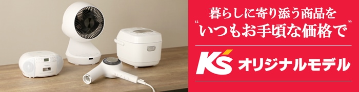 ケーズデンキオリジナルモデル