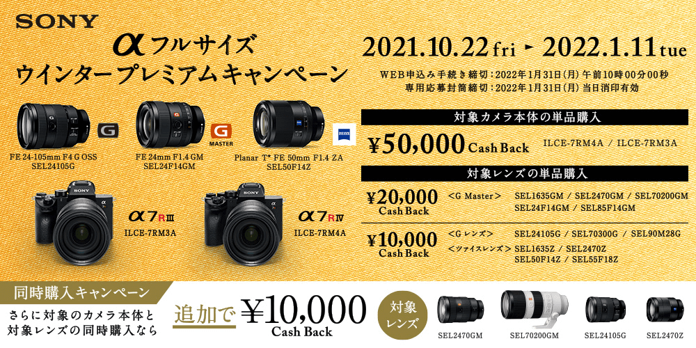 ソニー フルサイズミラーレス一眼カメラ ボディ Ilce 7rm3a 通販 ケーズデンキ