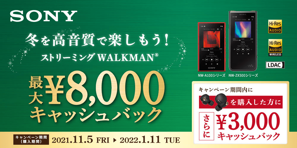 ソニー ６４ｇｂ ウォークマンａ１００ ハイレゾ Nw A107 B 通販 ケーズデンキ