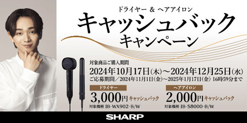 SHARP(シャープ) IB-WX902-B ブラック ヘアドライヤー（SHARP