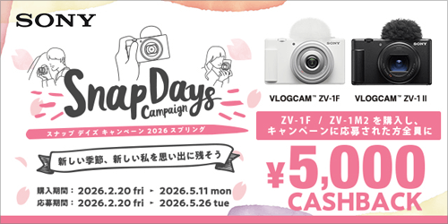 SONY（ソニー） デジタルカメラ VLOGCAM｜ZV-1F WC｜[通販]ケーズデンキ