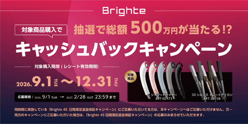 Brighte（ブライト） SHOWER DRYER（シャワードライヤー）｜BRT-SD173