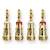 I[fBIp[cEP[u