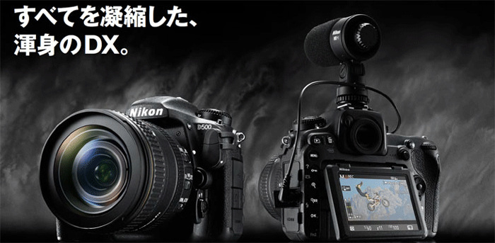 D5004{\