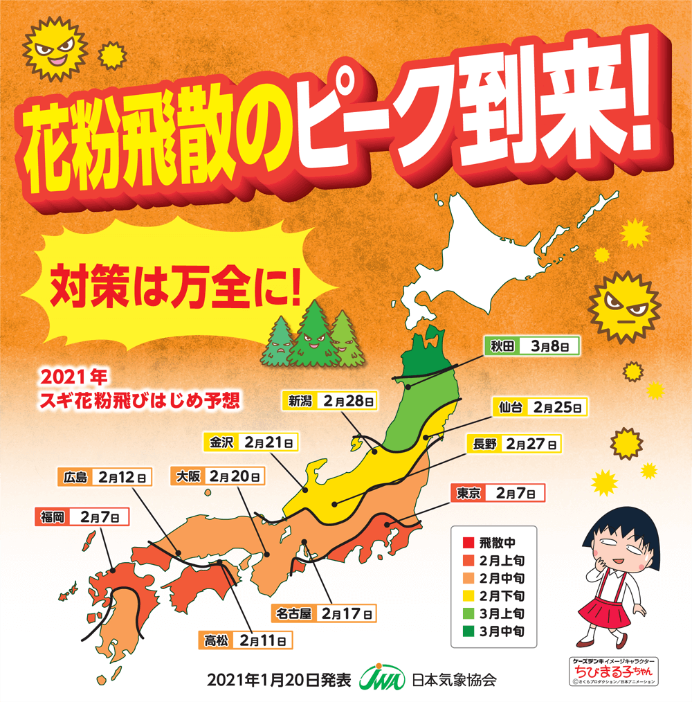 花粉対策特集 通販 ケーズデンキ