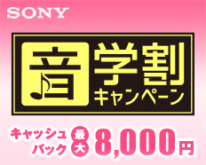 ソニー 64gb ウォークマンa100 ハイレゾ Nw A107 L 通販 ケーズデンキ ソニー 64gb ウォークマンa100 ハイレゾ Nw A107 L 通販 ケーズデンキ