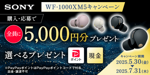 WF-1000XM5 Iׂv[gLy[