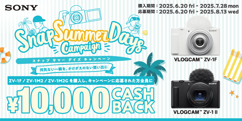 Snap Summer Days Ly[