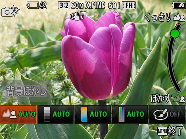 くっきりした背景も
