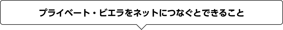 プライベート・ビエラをネットにつなぐとできること