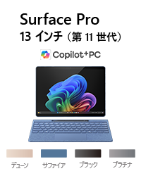 Surface Pro (�� 11 ����) 13 �C���`