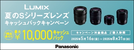 LUMIX ĂSV[Y LbVobNLy[