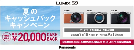 LUMIX S9 ẴLbVobNLy[